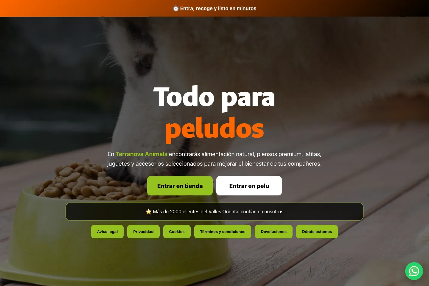 Portada de la web de Terranova Animals (terranovaanimals.es)